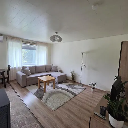 Cozy With Fireplace And Open-plan Kitchen Võru